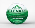 Elevate Pouches Wintergreen